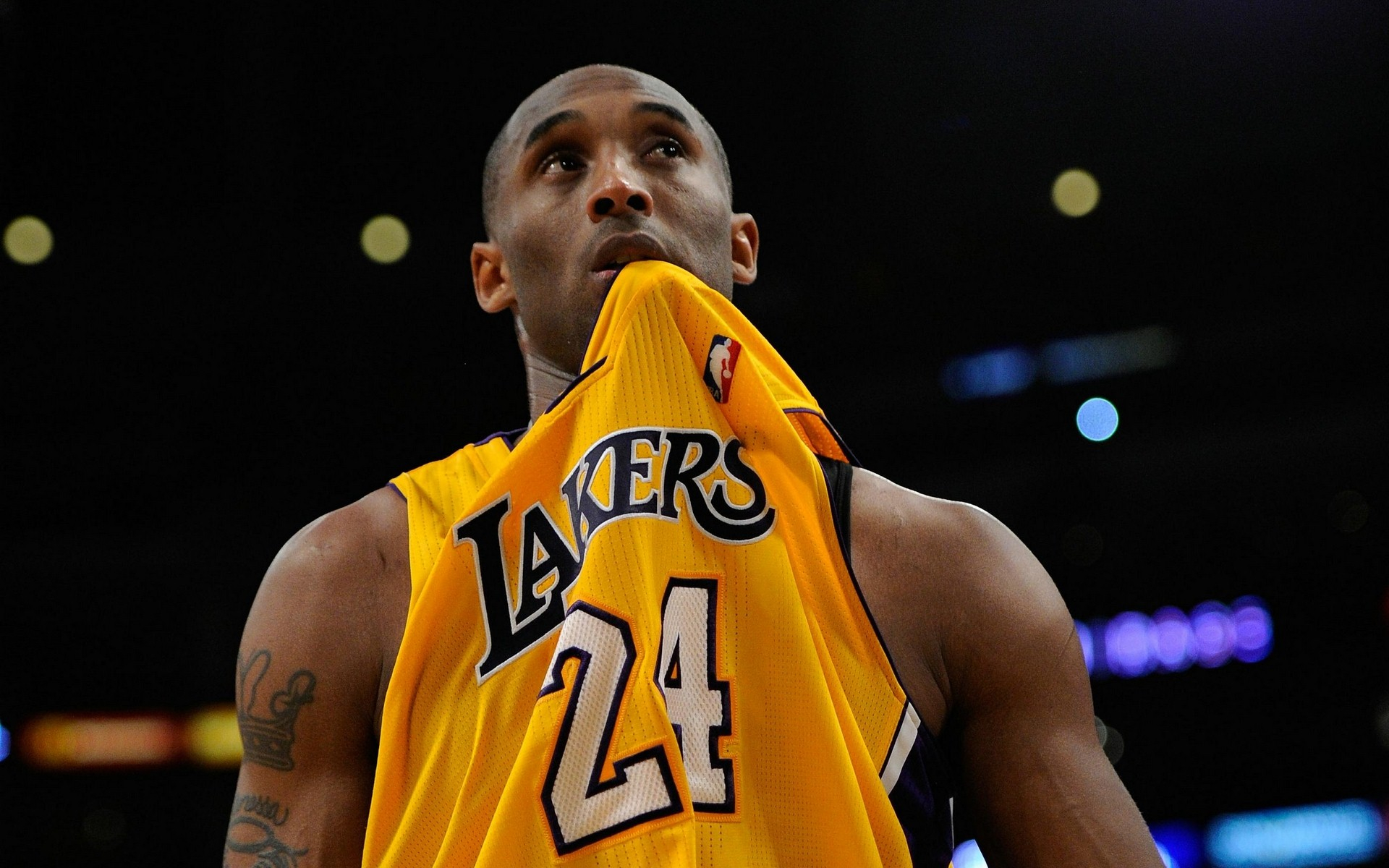 其他人工甜 其他人工甜